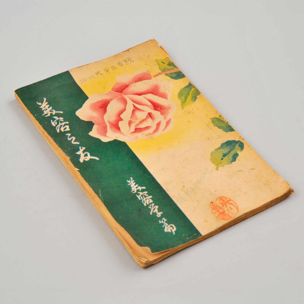 美容之友（美容学篇）