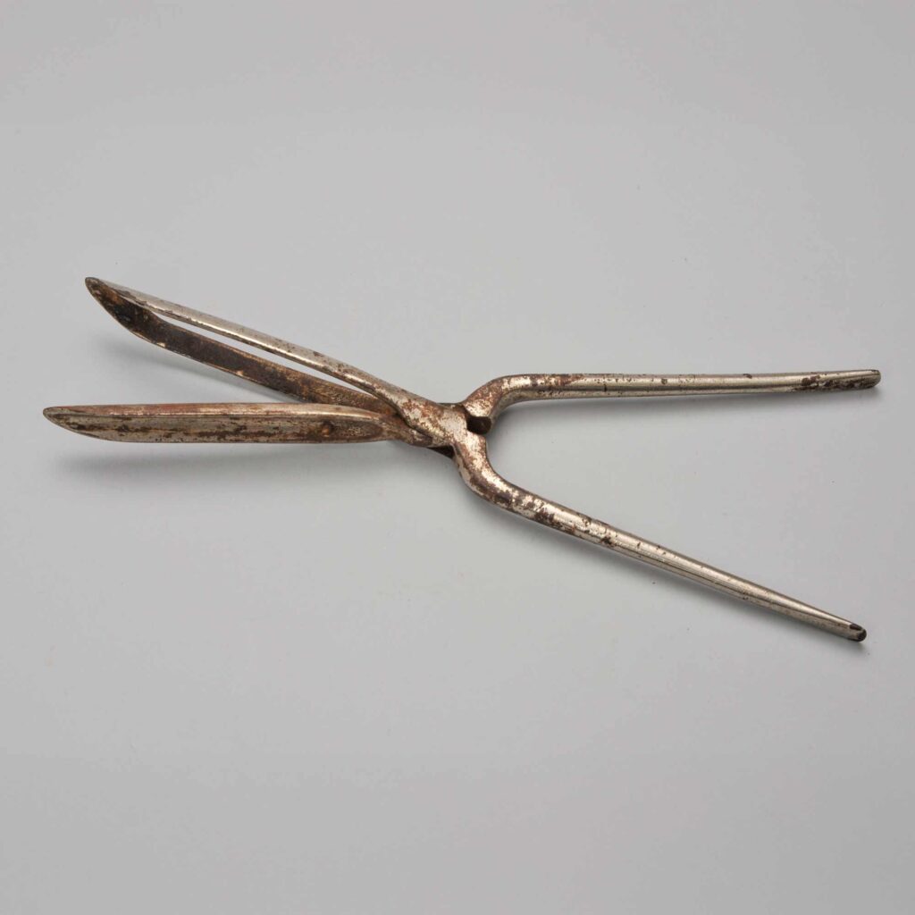 アイロン（昭和）菅谷寿子氏（千葉）寄贈