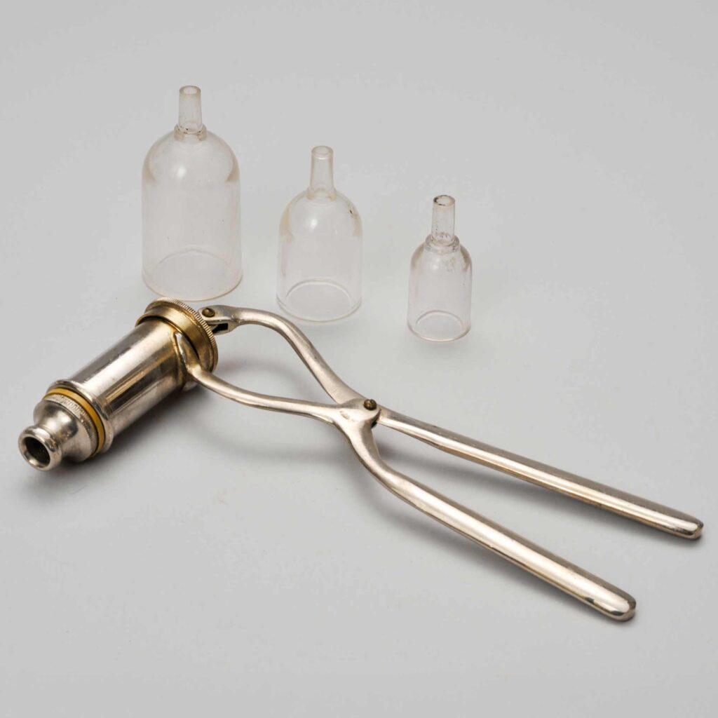 美顔用カップス 菅谷寿子氏（千葉）寄贈