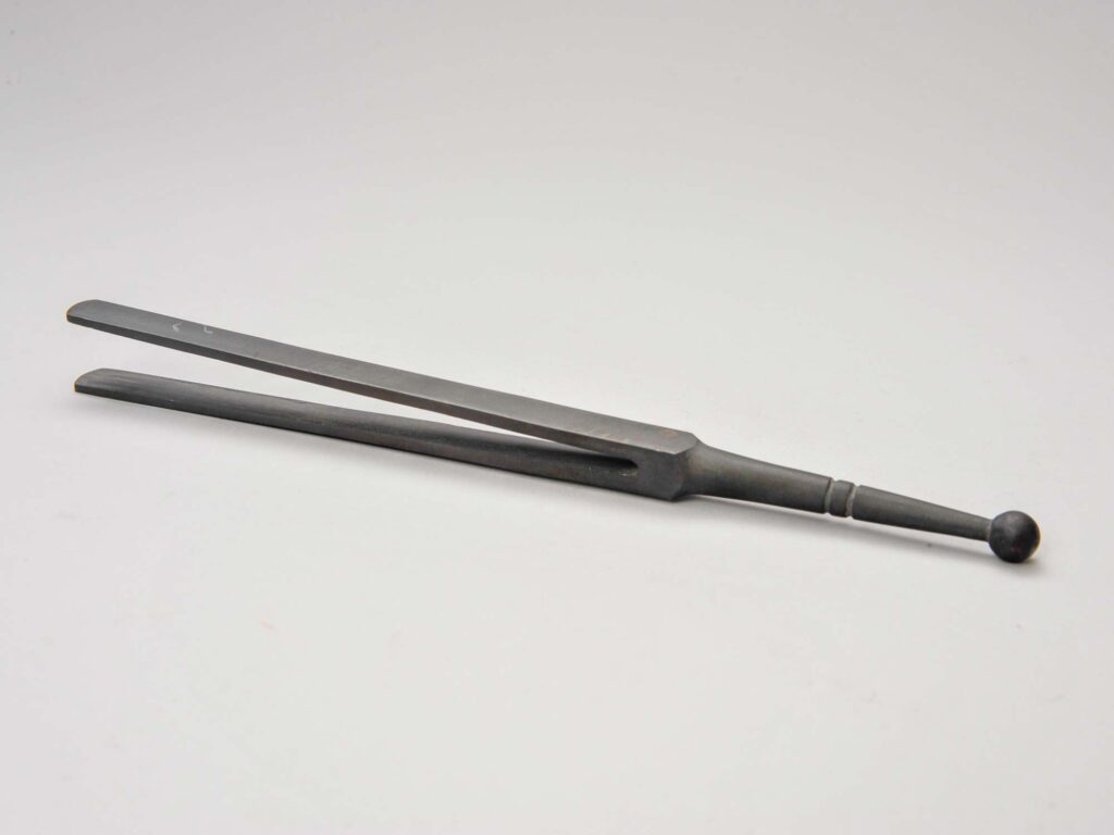 ヒビキガネ天母