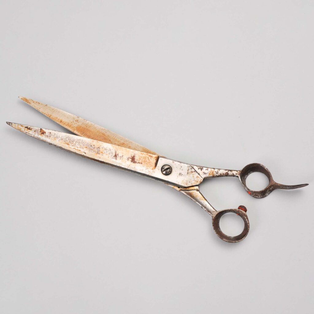 荘司型 大型調髪鋏　昭和　南沢広治氏（寄贈）
