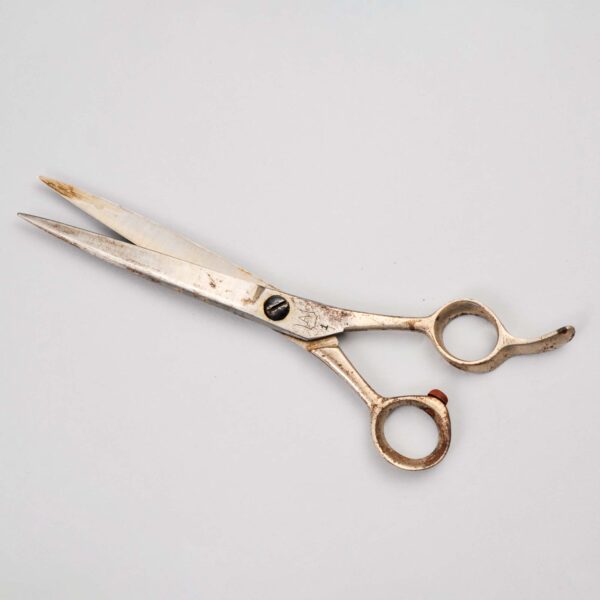 藤原先生 愛用の鋏 松村重貴智氏（東京）寄贈