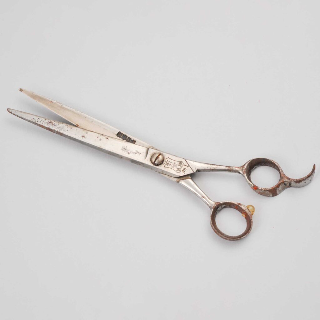 札埜義造先生愛用の鋏　松村重貴智氏（東京）寄贈