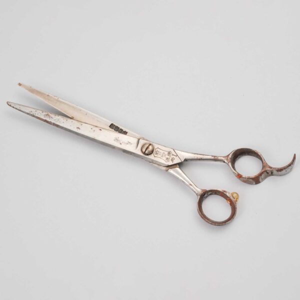 札埜義造先生愛用の鋏　松村重貴智氏（東京）寄贈