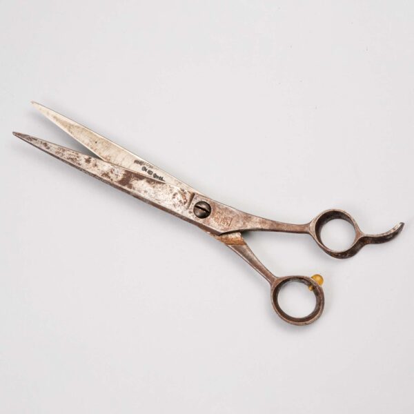 鋏（弥一）大原由蔵氏（東京）寄贈